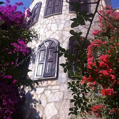 Tas Alanya
