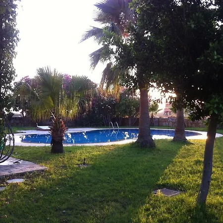 Tas * Alanya